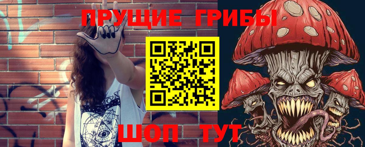 Псилоцибиновые грибы мицелий Сорочинск