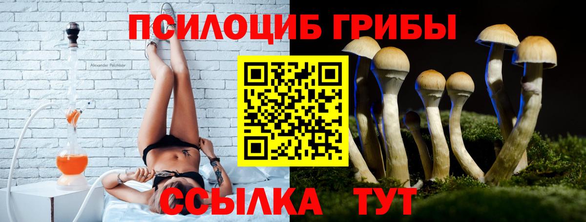 Галлюциногенные грибы мицелий  магазин продажи наркотиков  Сорочинск  Вход с VPN 
